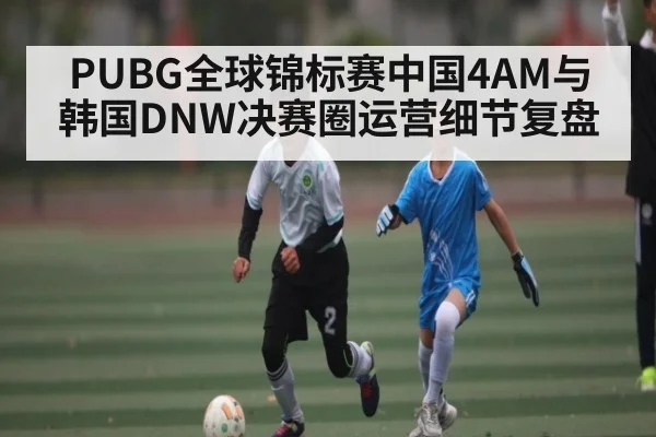 PUBG全球锦标赛中国4AM与韩国DNW决赛圈运营细节复盘(kaiyun)